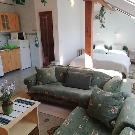 In 20675 Apartman Zalakaros