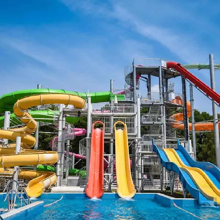 In 20675 잘라카로쉬