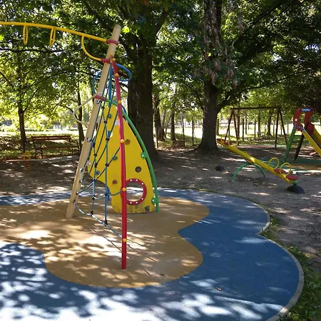 In 20675 잘라카로쉬