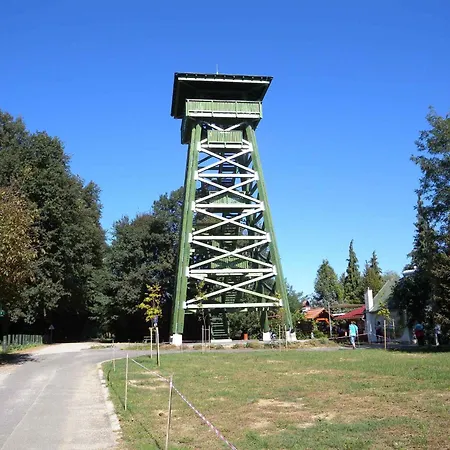 In 20675 * 잘라카로쉬