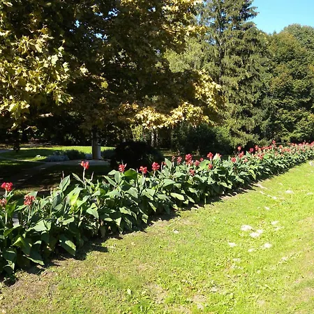 In 20675 잘라카로쉬